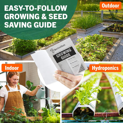 15,000 Heirloom Seeds Non GMO Vegetable and Fruit Seeds for Planting Outdoor & Indoor - 18 Variety Pack of Survival Garden Seeds